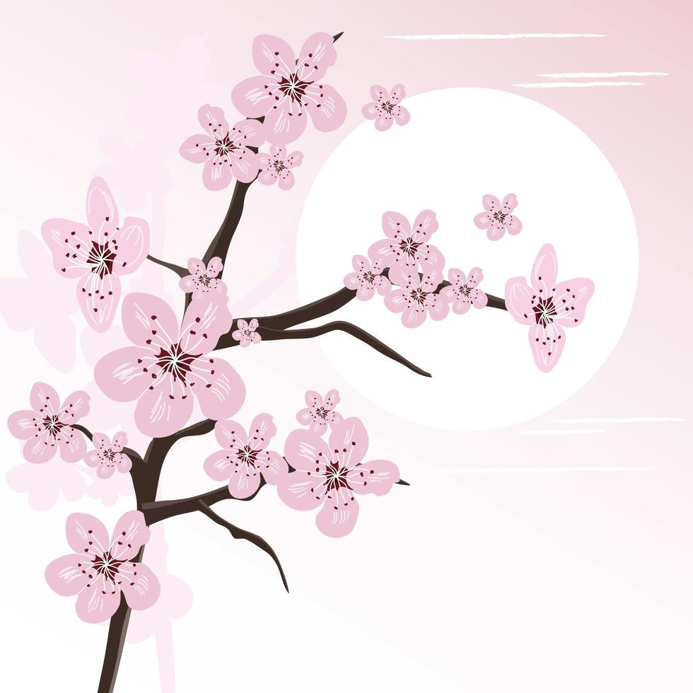 Cherry Blossom Vector