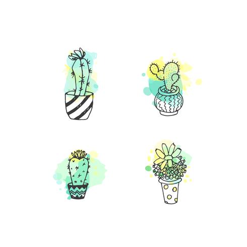 Vector cactus hand drawn set with paint splashes
