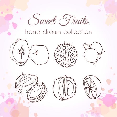 Set of hand drawn fresh fruits - Download Free Vector Art, Stock Graphics & Images