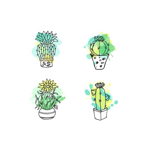 Hand drawn succulent illustration set vector