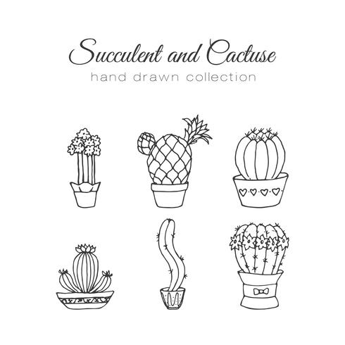 Set de suculentos y cactus dibujados a mano. vector