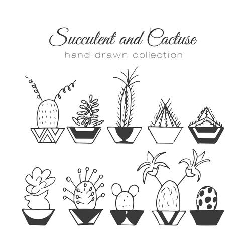 Set de suculentos y cactus dibujados a mano. vector