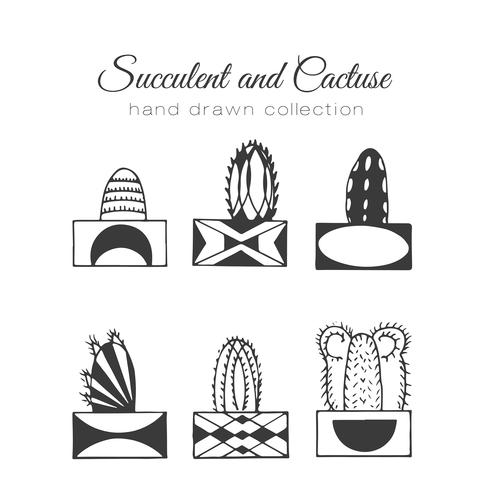 Hand drawn succulent and cacti set vector