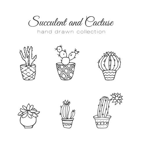 Set de suculentos y cactus dibujados a mano. vector