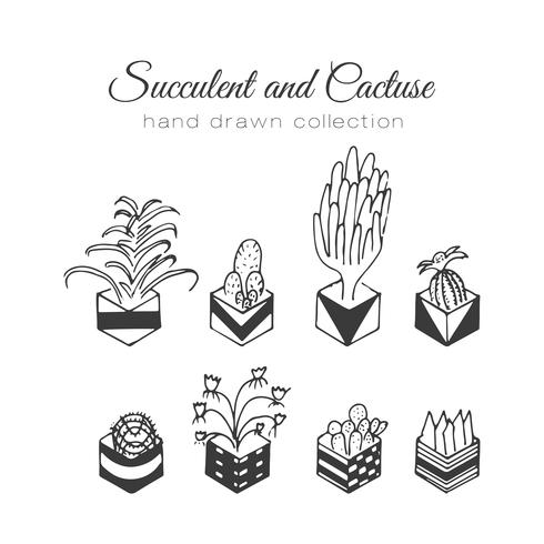 Set de suculentos y cactus dibujados a mano. vector