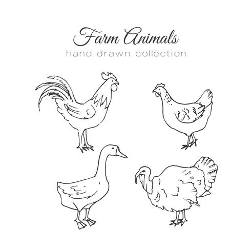 Animales de granja dibujados a mano vector