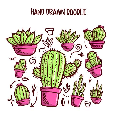 Vector de cactus y suculentas. Doodle conjunto de ilustración.