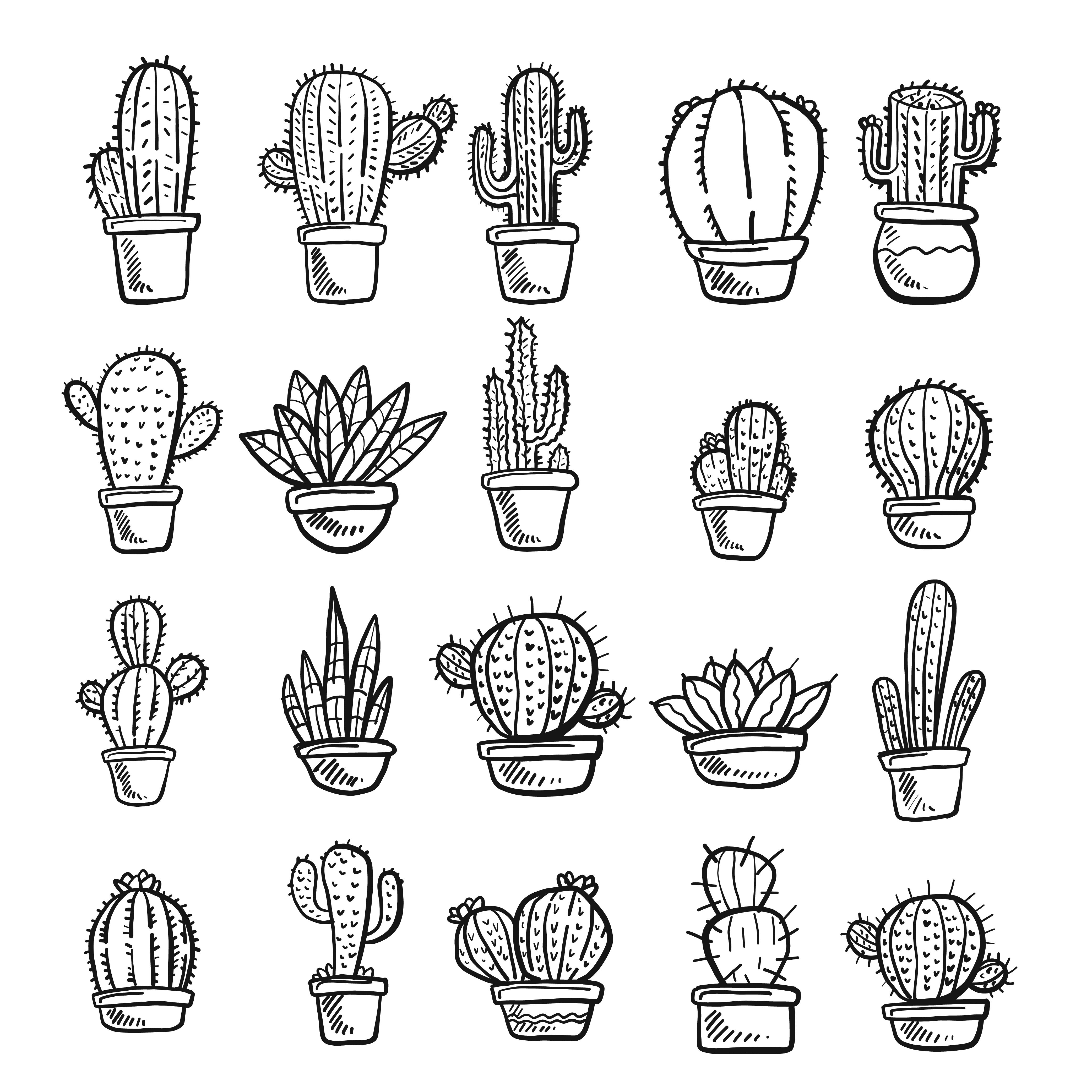 Vector of Cactus and Succulent. Doodle illustration Set ...