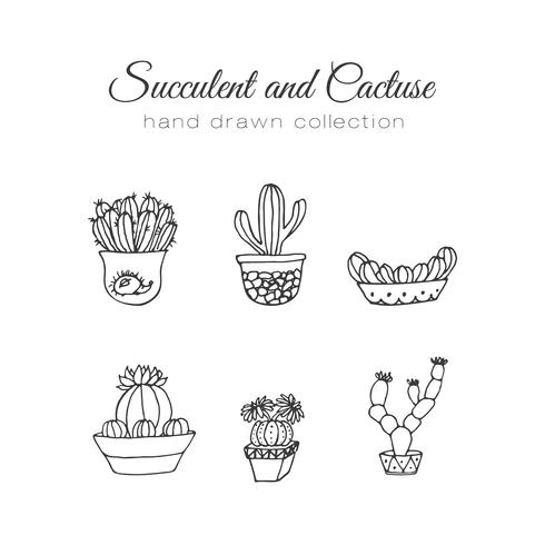 Hand drawn succulent and cacti set vector
