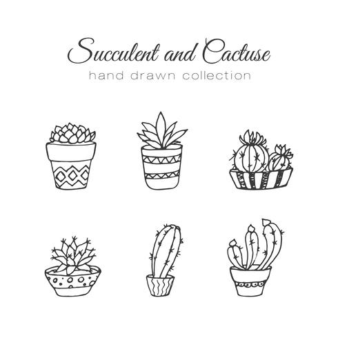 Hand drawn succulent and cacti set vector