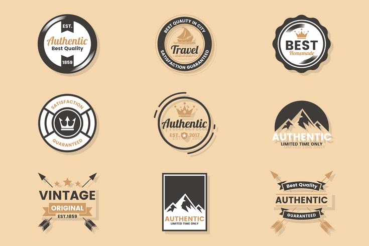 Vintage Retro Vector Logo for banner