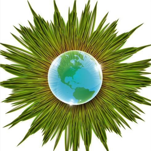 Grass and Earth vector illustration