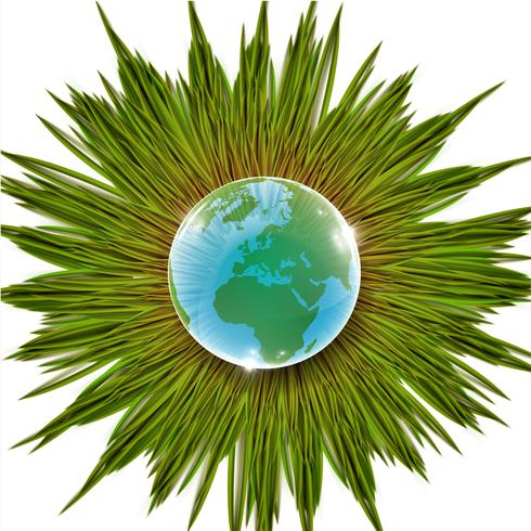 Grass and Earth vector illustration