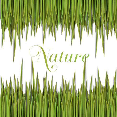 Natural green template with vector grass.