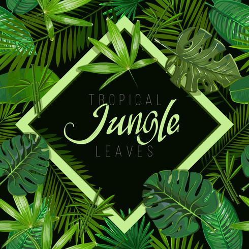 Tropical leaves on white background with isolated sign Hawaii vector