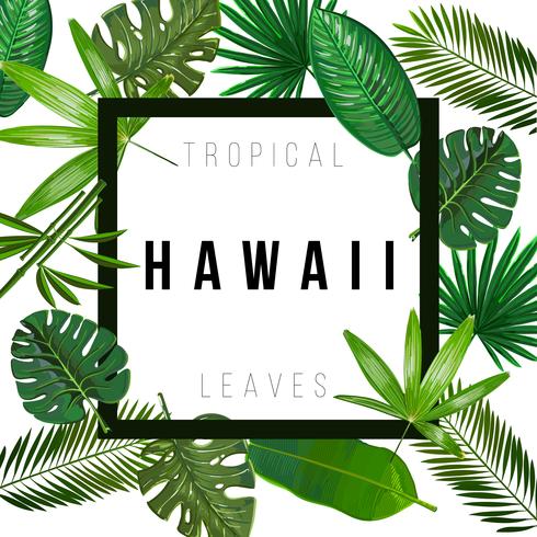 Hojas tropicales sobre fondo blanco con signo aislado Hawaii vector