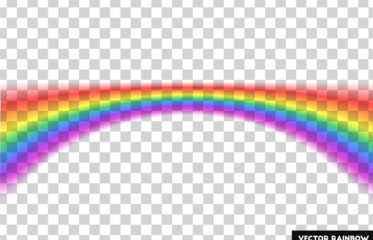 Transparent rainbow. Vector illustration. Realistic rainbow on transparent background.
