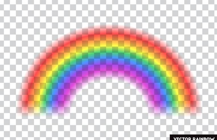 Transparent rainbow. Vector illustration. Realistic rainbow on transparent background.