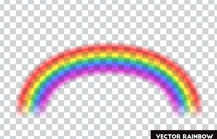 Transparent rainbow. Vector illustration. Realistic rainbow on transparent background.