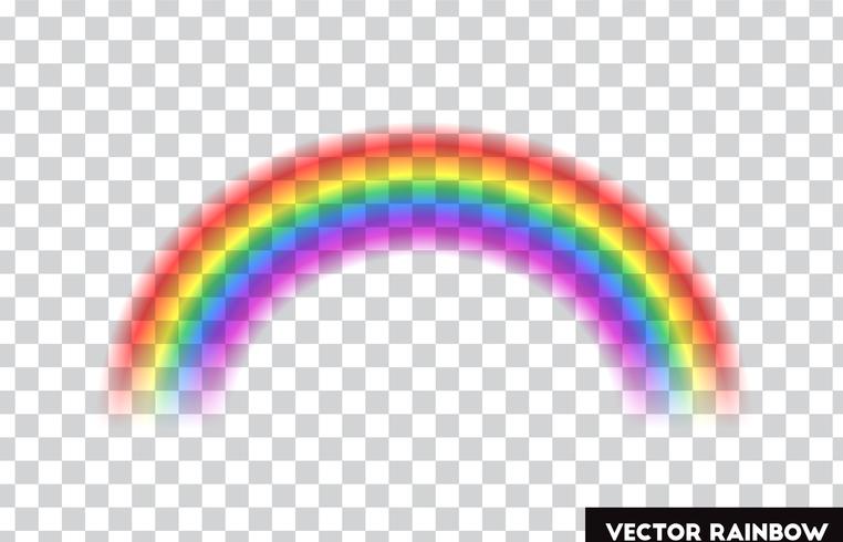 Transparent rainbow. Vector illustration. Realistic rainbow on transparent background.