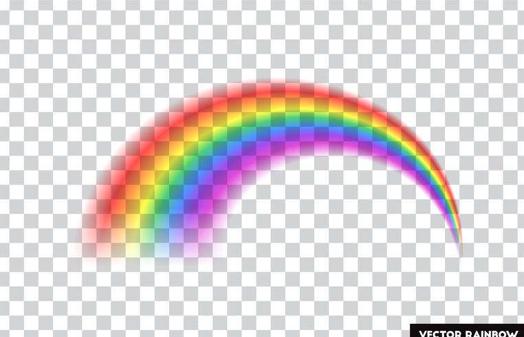 Transparent rainbow. Vector illustration. Realistic rainbow on transparent background.