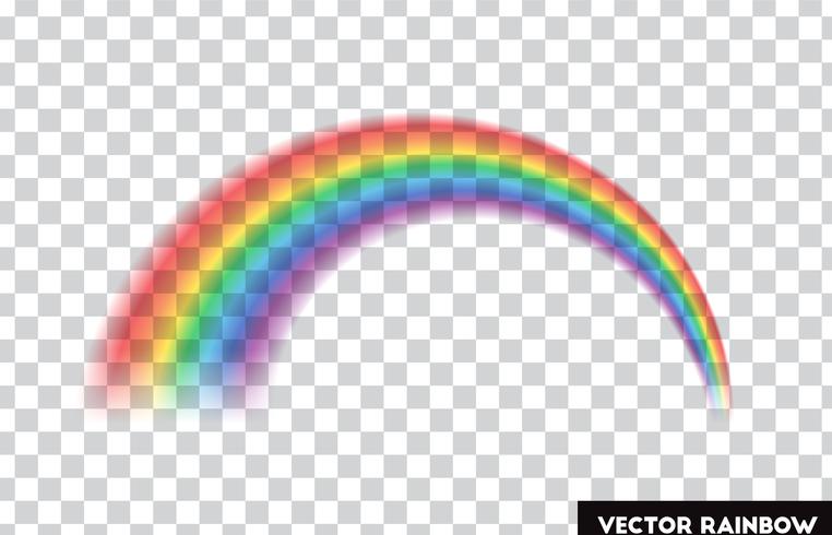 Transparent rainbow. Vector illustration. Realistic rainbow on transparent background.