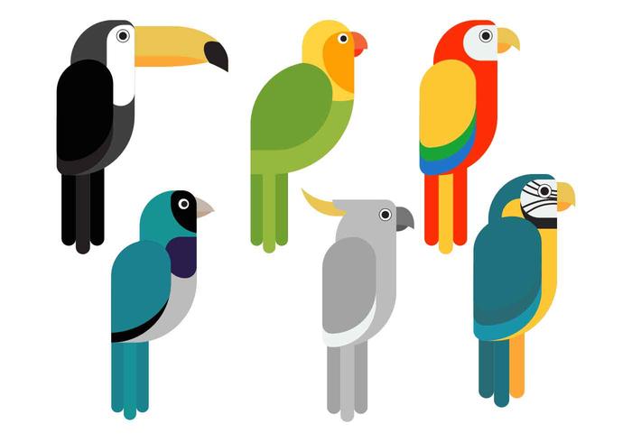 Pájaro Clipart Set Vector Illustration