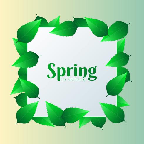 Spring Design Square Element With Green Leaves Background vector