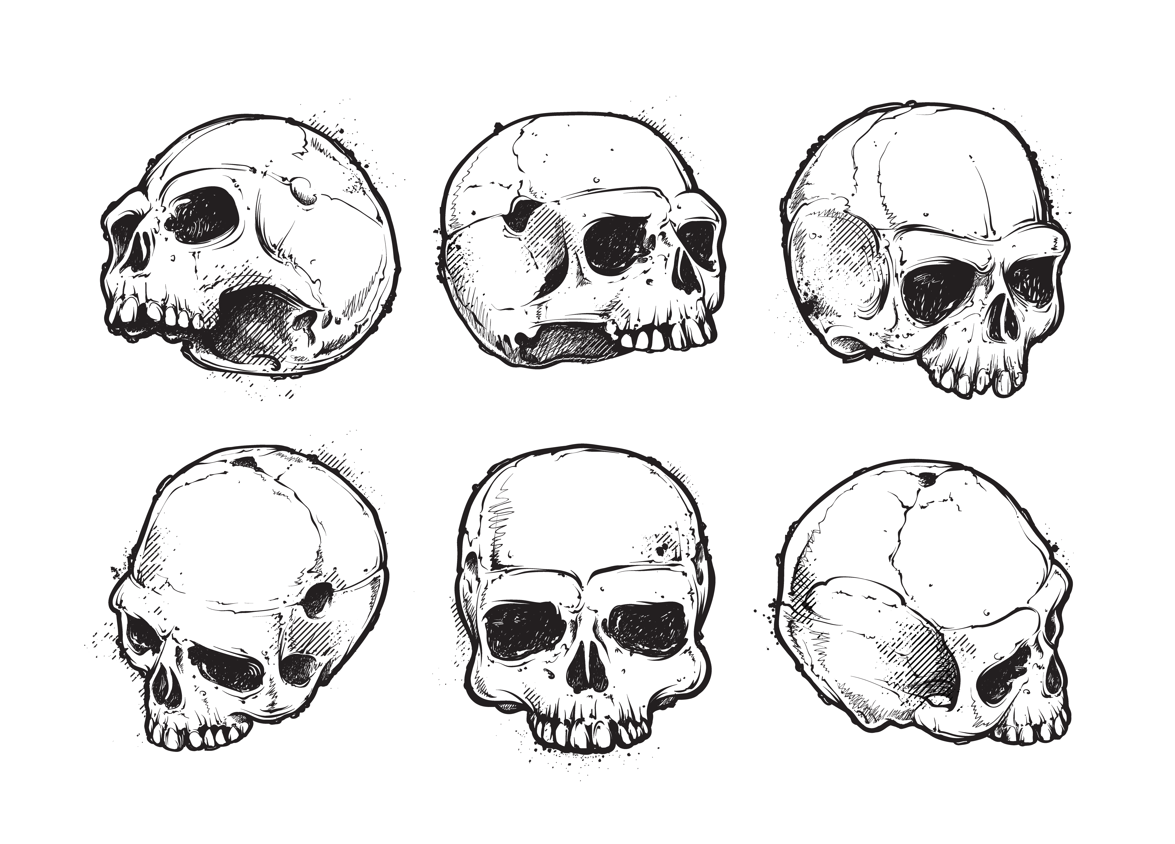 Hand-drawn skulls 284184 Vector Art at Vecteezy