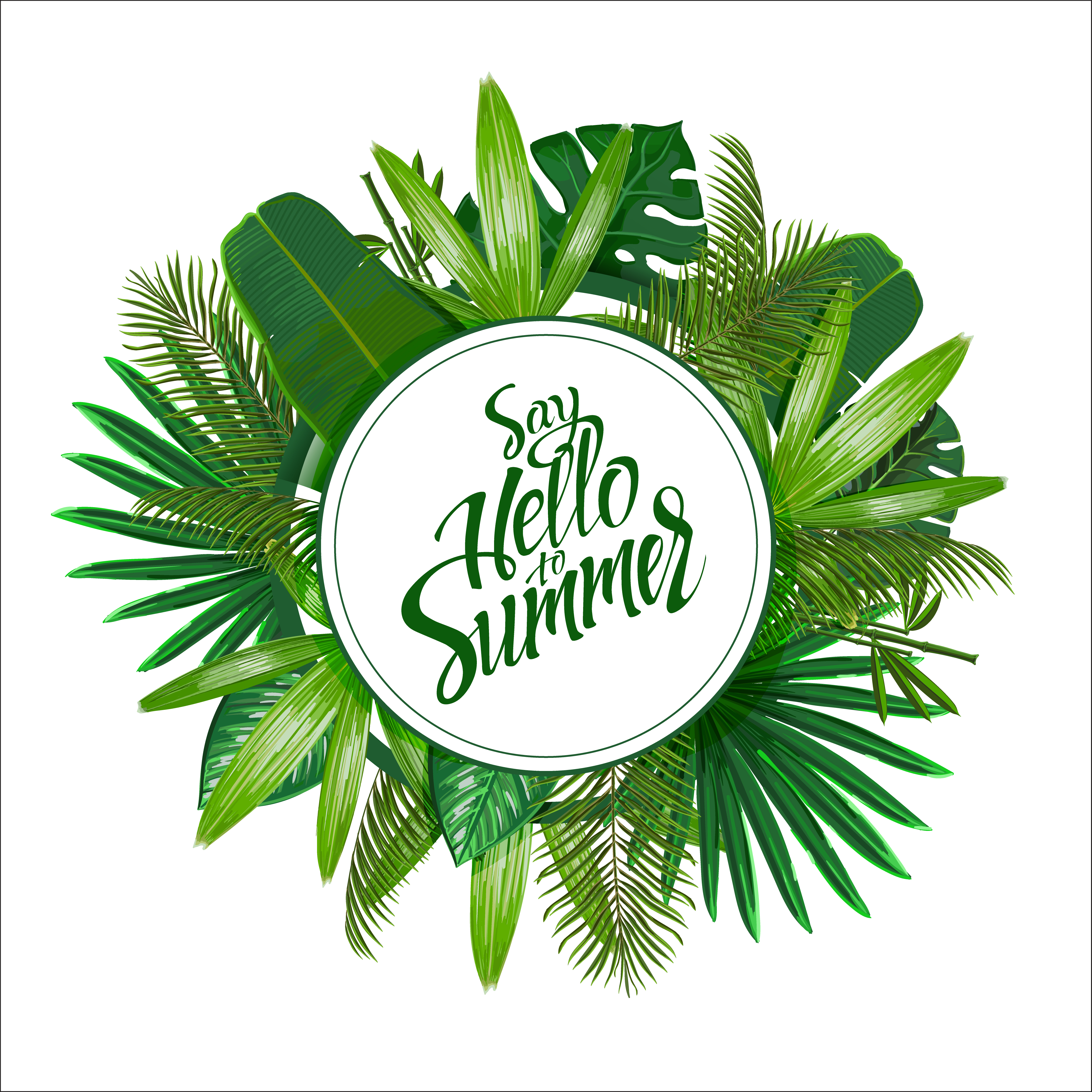 Tropical leaves around the circle on white background 284288 Vector Art