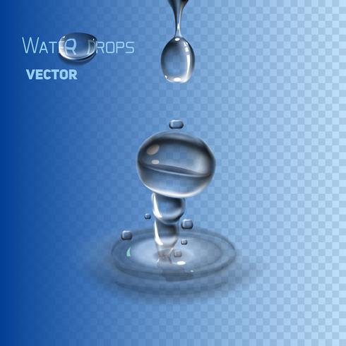 Drop falls into the water. vector