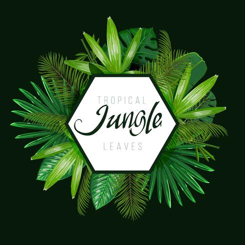 Tropical leaves around the shape on dark background. vector