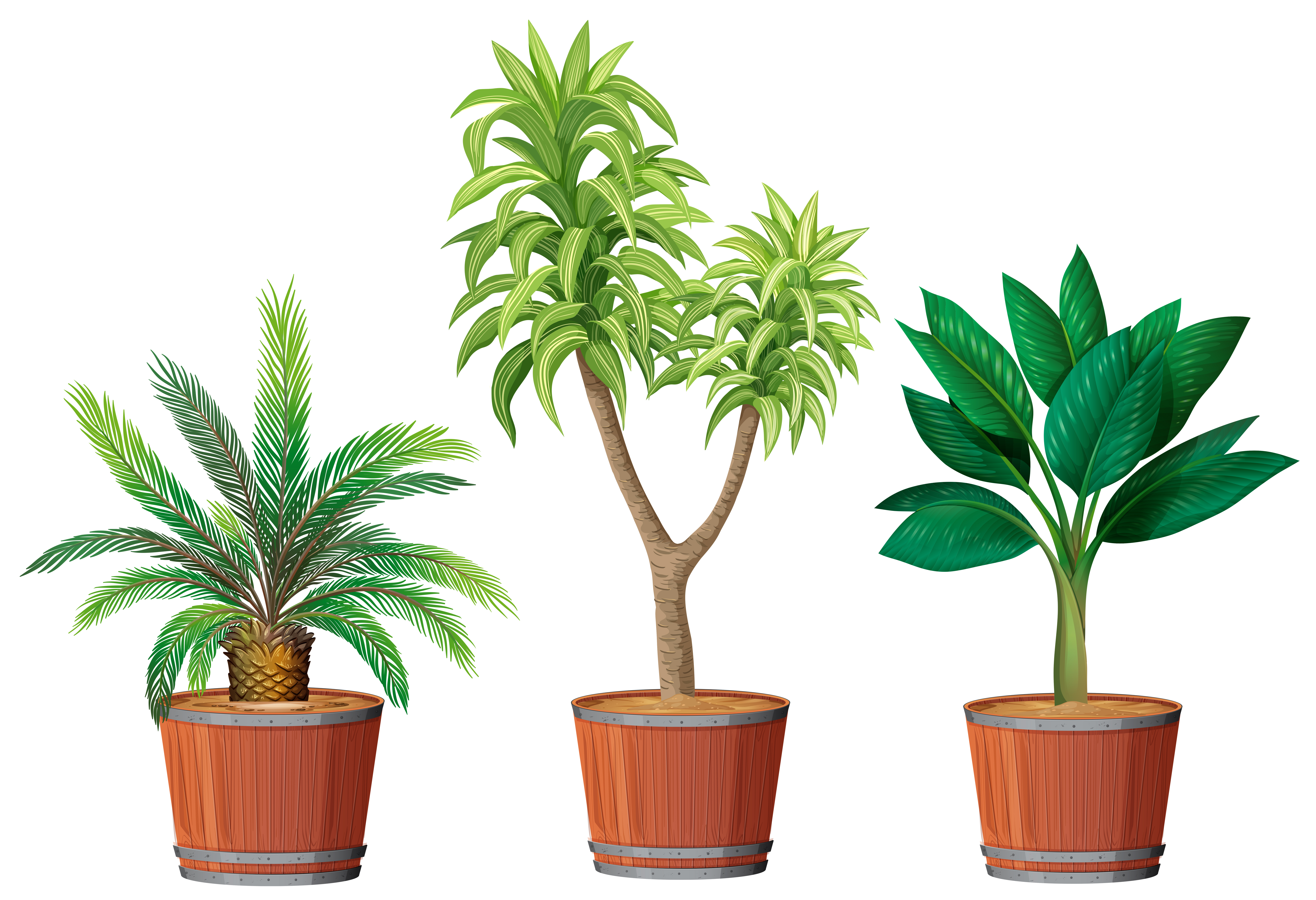 Download A Set of Plant in Pot - Download Free Vectors, Clipart ...