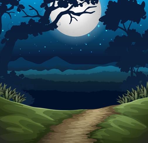 bosque en la escena nocturna vector