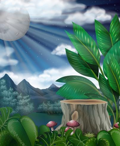 Scene with fullmoon over the forest vector