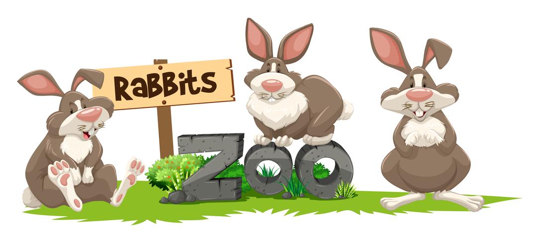 Three rabbits at the zoo sign vector