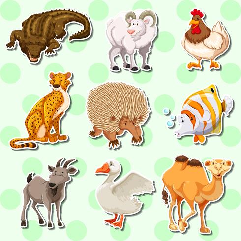 Sticker design with many creatures vector