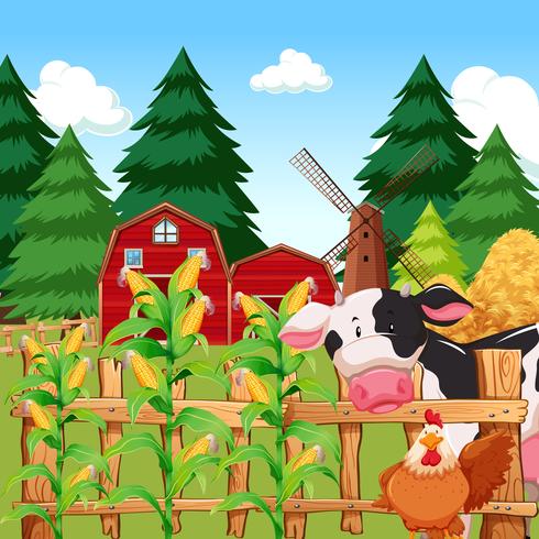 A corn farm with animals - Download Free Vector Art, Stock Graphics & Images