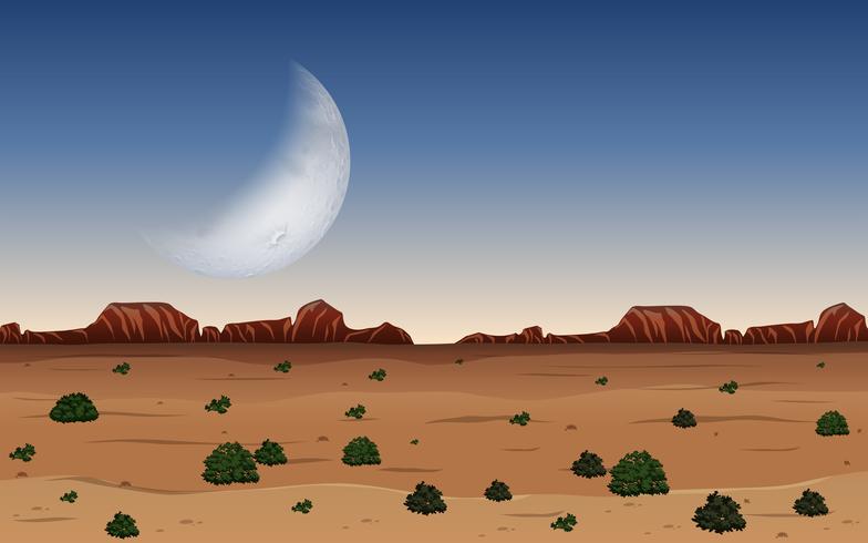 Un desierto en la noche vector