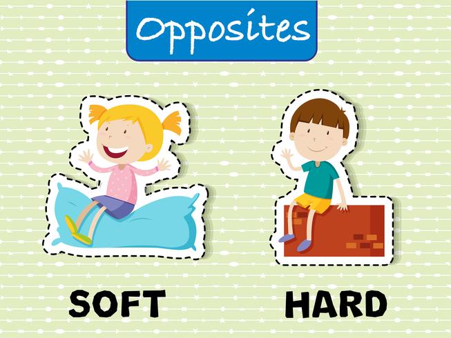 Opposite words for soft and hard vector