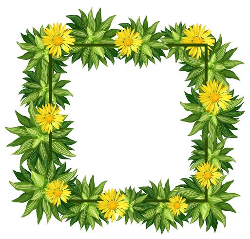 A beautiful daisy frame vector