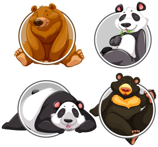 Set of different bear banner vector