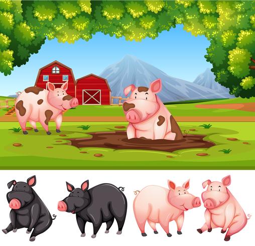 Pig in nature farm vector