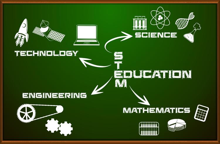 Stem education on chalkboard vector