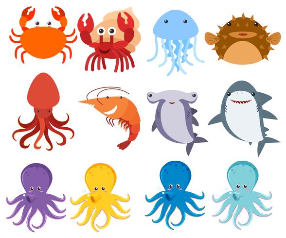 Sea Creatures on White Backgriund vector