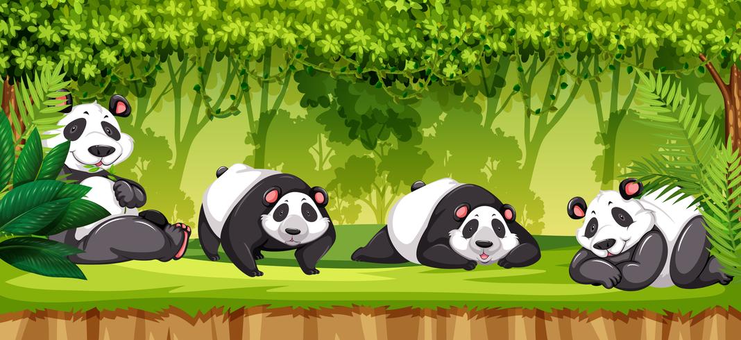 Set of pandas in jungle vector