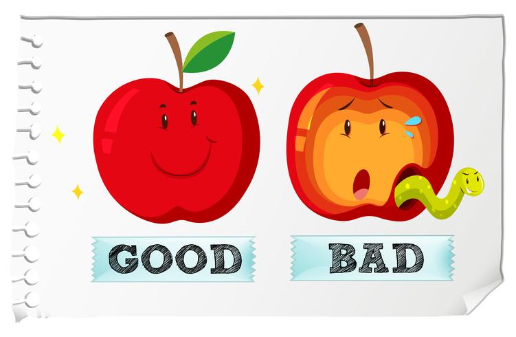 Opposite adjectives good and bad vector
