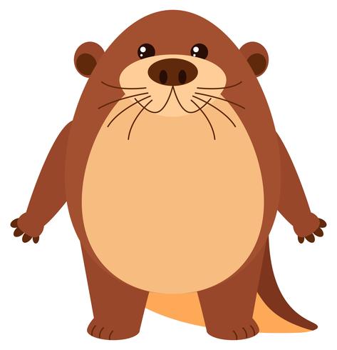 Cute beaver with round body vector