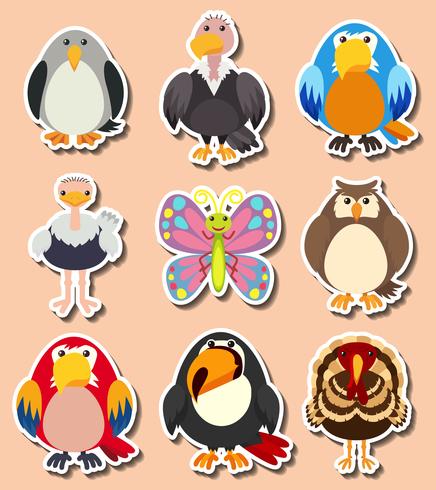 Diseño de pegatinas con diferentes tipos de aves. vector