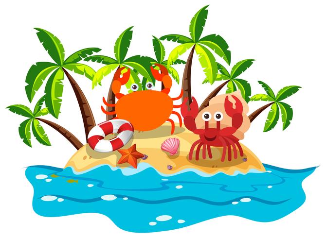 Crabs live on island vector